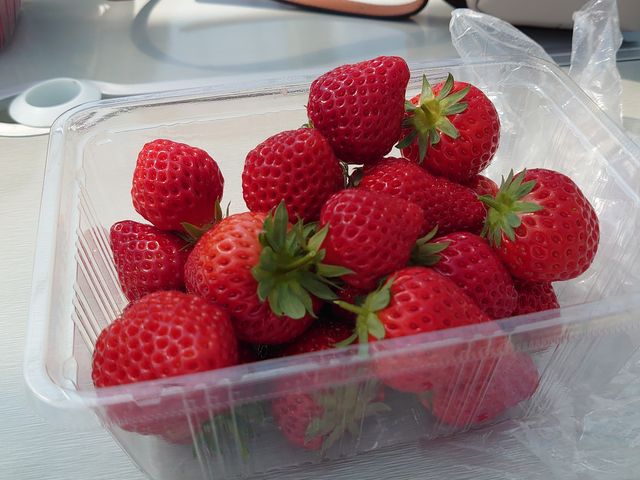 ��������H�ׂ܂����I_��{�ό��������g��