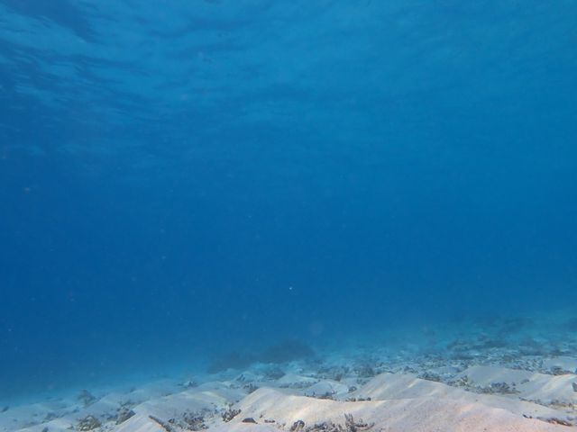 水面がとても綺麗でした♪_marine assist DEMI