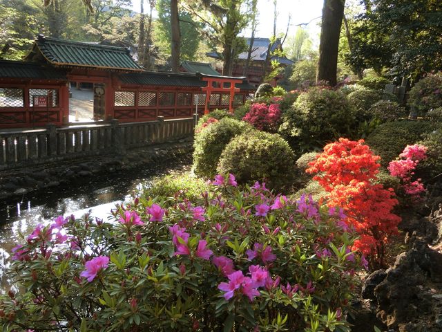 ����Ƃ�_���Ð_��