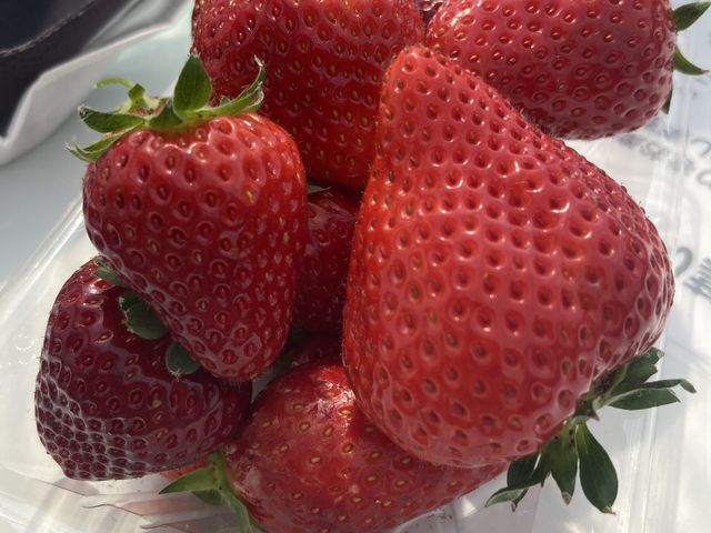 �F��Ȃ�����(^^)���͢�ӂ��̂����1�ԍD���ł��B_���t䕉�