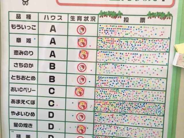 䕂̎ނ11ނ܂B_܂Ȃt@[