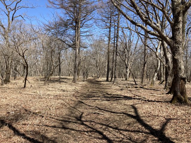 �����قǐ^�����ȎR��_�r�D�R