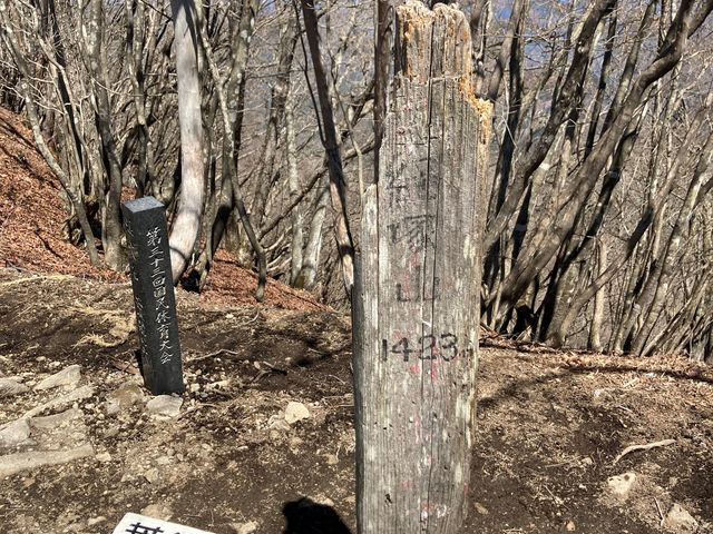 �r�D�R�ō��n�_�̌o�ˎR�B����ȍr�D�R�R���̒���50m�قǂЂ������o�Ă���B_�r�D�R