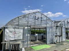 strawberry farm ӂƂւ̓eʐ^1