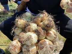 䂩񂳂̂悩񂢂ւ̓eʐ^1