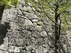 ミキティさんの松坂城跡（松阪公園）への投稿写真1