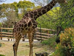 天王寺動物園の口コミ一覧 じゃらんnet