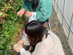 naokoarâh}T~ւ̓eʐ^2