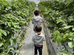 ԂԂ̐_ˎOcȂ_ւ̓eʐ^1