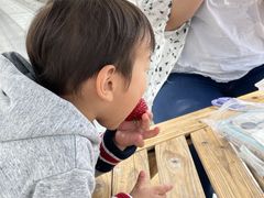 ԂԂ̐_ˎOcȂ_ւ̓eʐ^2