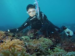 邳̈ɓ_CrOXN[ gbcւ̓eʐ^1