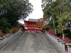いざのりさんの近江神宮への投稿写真1