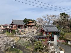 ͂񂳂̍O@Rւ̓eʐ^1