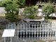 いざのりさんの近江神宮への投稿写真2