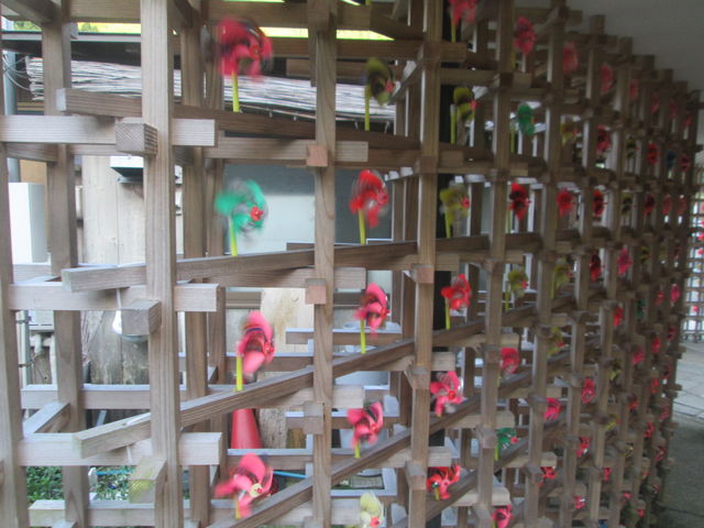 ��ɖʂ����ꏊ�ɑ�R�̕��Ԃ�����Ă��܂����B_�����q���ό��ē���