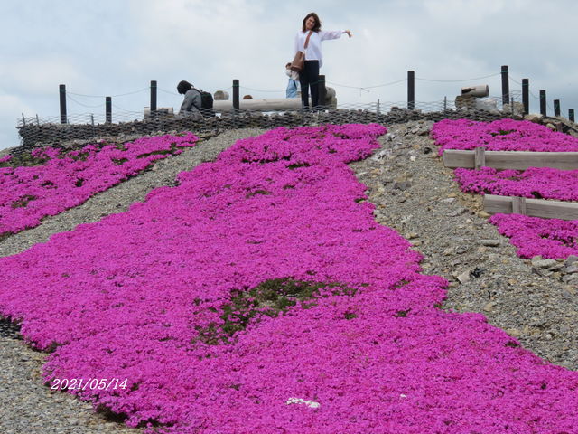 �ō��̍��肢���ς���_���P�R�E�����Y�R