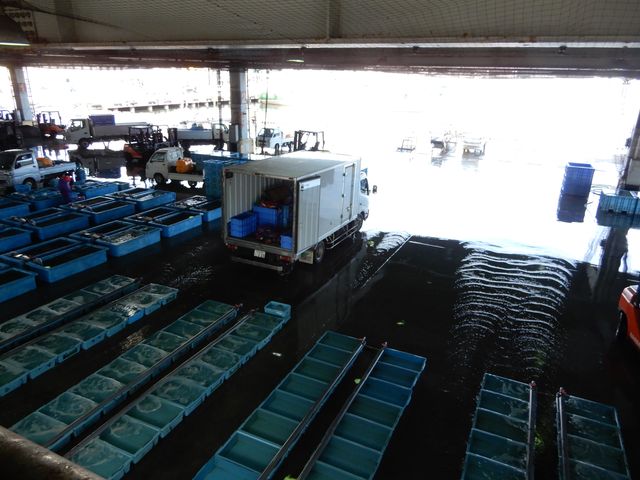 ���`�̗l�q�����w�ł��܂����B_�C����s���s��