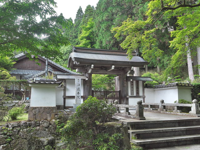 sklfh����̏�@�؉@�̓��e�ʐ^1