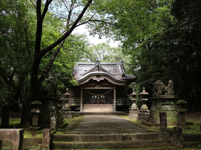 Yanwenli����̐X�уZ���s�[���_�Ў��ӃR�[�X�̓��e�ʐ^5