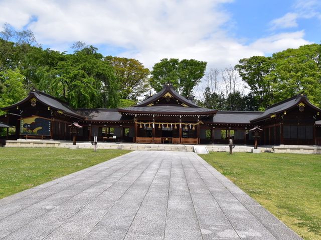 �傫�Ȕq�a_���쌧�썑�_��