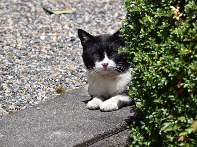 O`̒쌧썑_Ђ̓eʐ^2