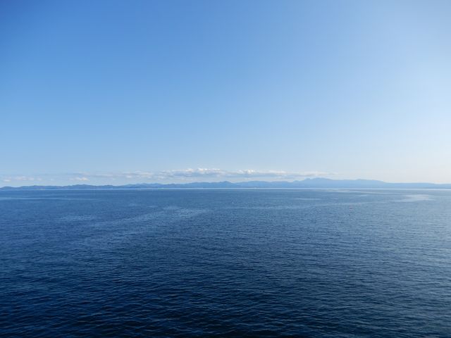 �����p�����ꂢ�ł����B_�ނp�t�F���[