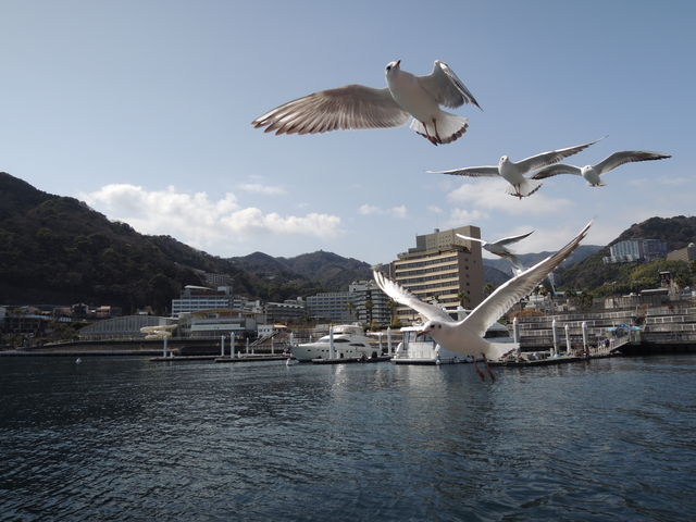 �o�q�Ɠ����ɃJ��������ь����܂�_�M�C�V���D�T������