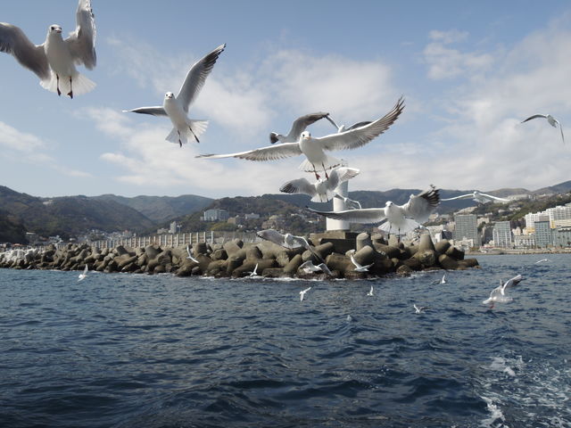 �����ȋ󒆃L���b�`_�M�C�V���D�T������