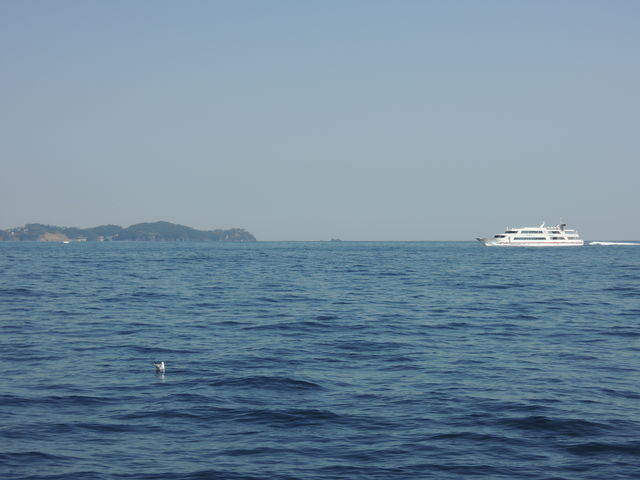 �V���D����̒��߁@�M�C�`�̌i�F_�M�C�V���D�T������