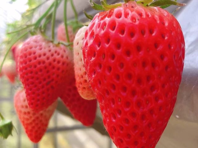 ��������_䕍H�[��������