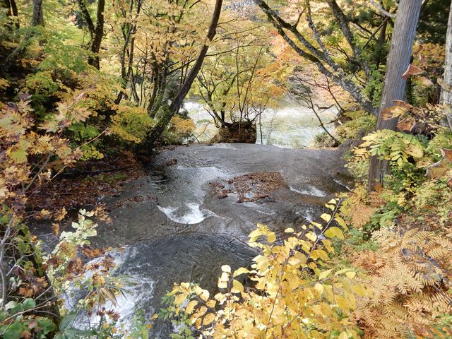 �Ȃ�Ƃ��S�x�܂邷�΂炵���ꏊ�ł����B_���c��