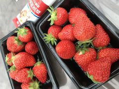 joumonfarmi傤ӂ[ށjւ̓eʐ^1