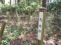 gV[̉͑隬jւ̓eʐ^1