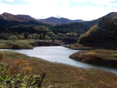 mick����񂳂�̋яH�΂ւ̓��e�ʐ^1