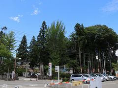 Yanwenli̔˓V{ւ̓eʐ^1