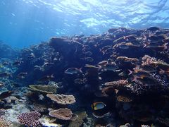 Ƃނ̃}T[rX@pb\ւ̓eʐ^1