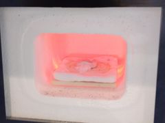 Iih̒cM[shirakuւ̓eʐ^1