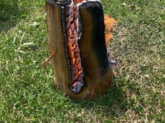 YUZAWA SESSIONւ̓eʐ^1