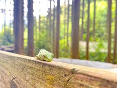 GBch̒Og܂ӂ[ނւ̓eʐ^1