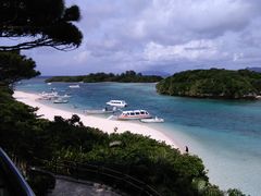 񒃂̐약}T[rXւ̓eʐ^1