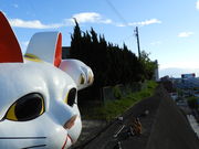 zin����̌����L�@�Ƃ��ɂ��̓��e�ʐ^2