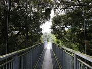 Yanwenli����̐X�уZ���s�[���_�Ў��ӃR�[�X�̓��e�ʐ^2