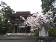 ������������̎O�䎛���̓��e�ʐ^1