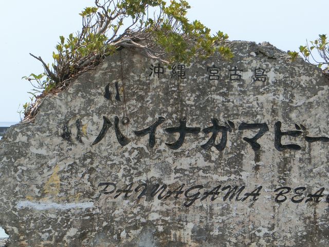 �p�C�i�K�}�r�[�`_�p�C�i�K�}�r�[�`