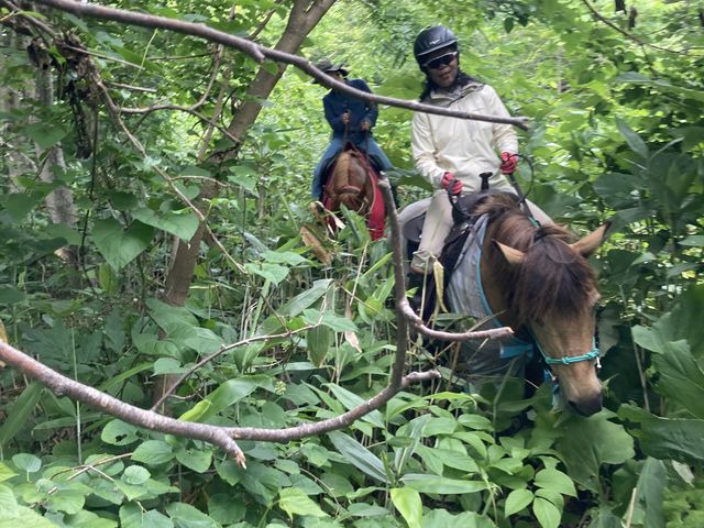 �W�����O���C���I�I_Horse back country
