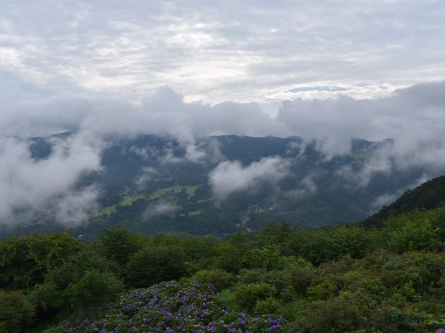 �_�̍��Ԃ���́A����Ȍi�F���E�E�B_���̎R����