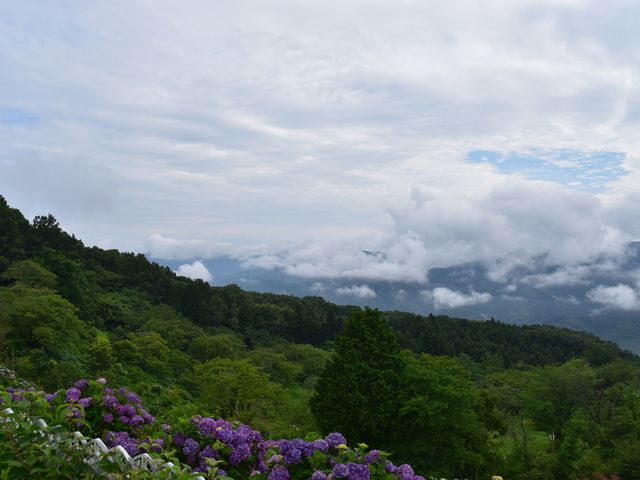 �΂��[���A�ƂĂ��L���C�ł����B_���̎R����