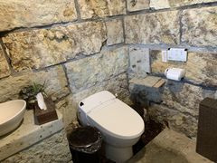 Ђ̃Jlz̐Ώւ̓eʐ^2