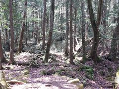 ������h���`���b�N����̐؃P�����C�ւ̓��e�ʐ^1