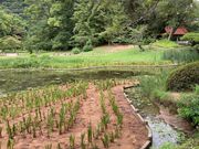 EbL[̌Iь̏Ҋ̓eʐ^1